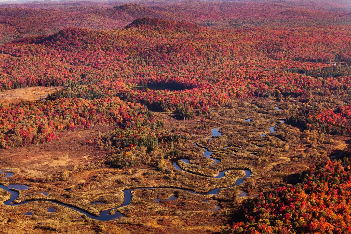 Aerial photo of the Moose River meandering through the Adirondack backgrountry.